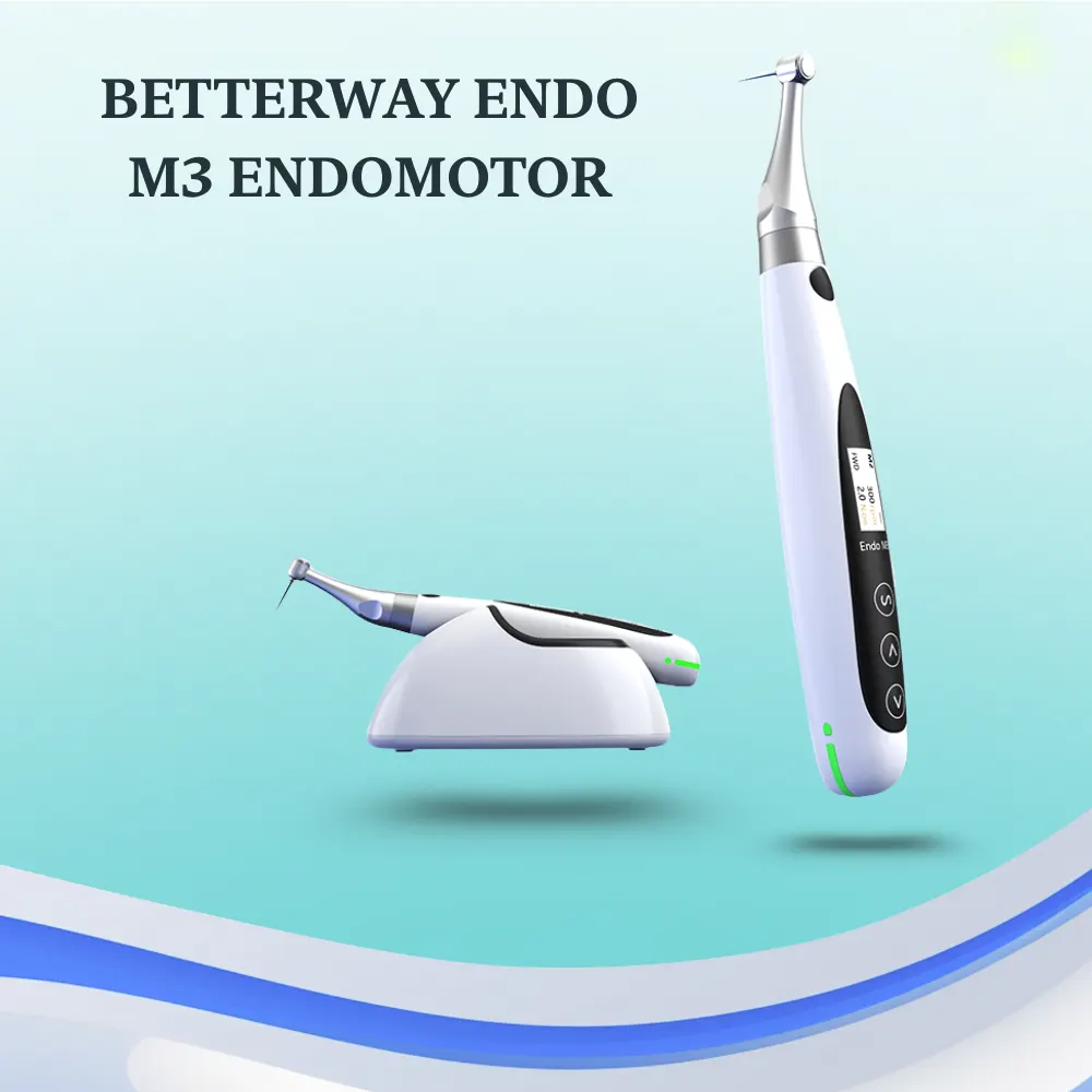 Endomotore